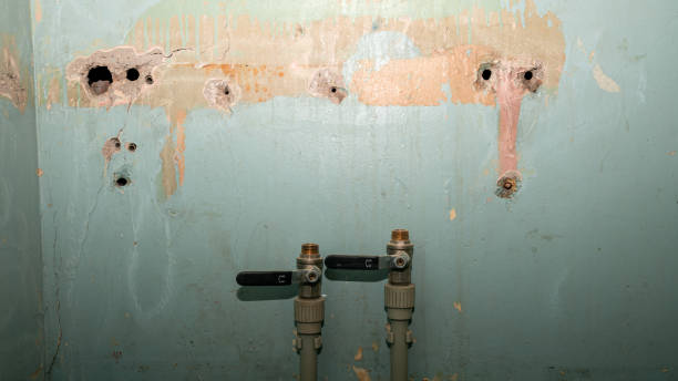 Best Flood damage cleanup  in Alexandria, VA