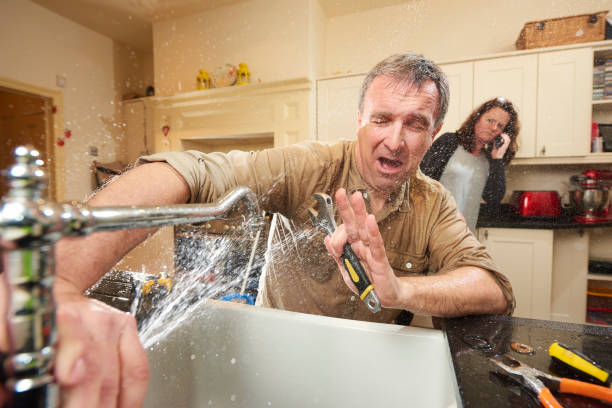 Best Flooded house restoration  in Alexandria, VA